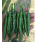 Chilli / Hot Pepper F1 Shotgun 30 grams